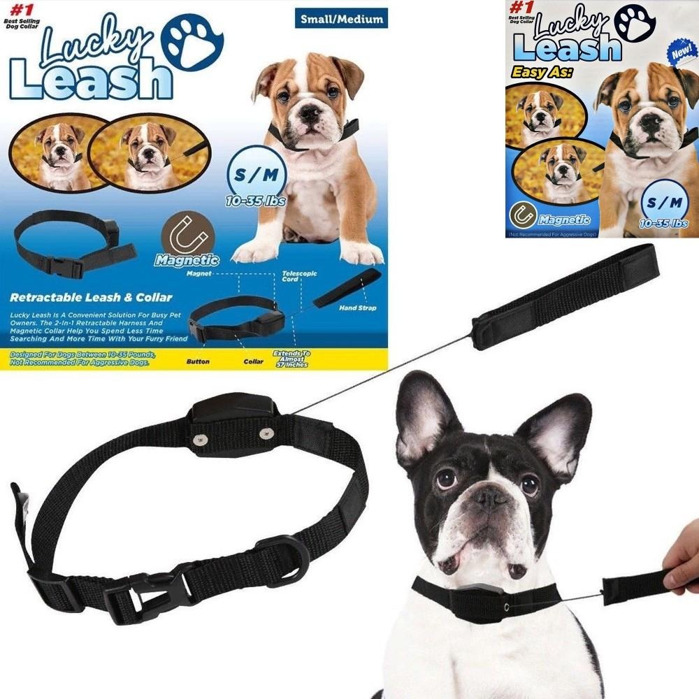 Lucky+Leash