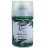 eucalyptus