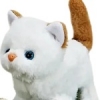 Option 2