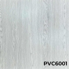 PVC6001