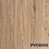 PVC6020