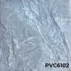 PVC6102