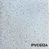 PVC6124