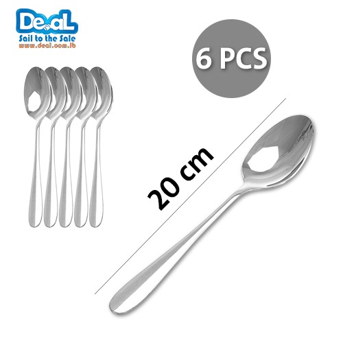 6 Pcs Stainless Steel Dining Spoon 20cm
