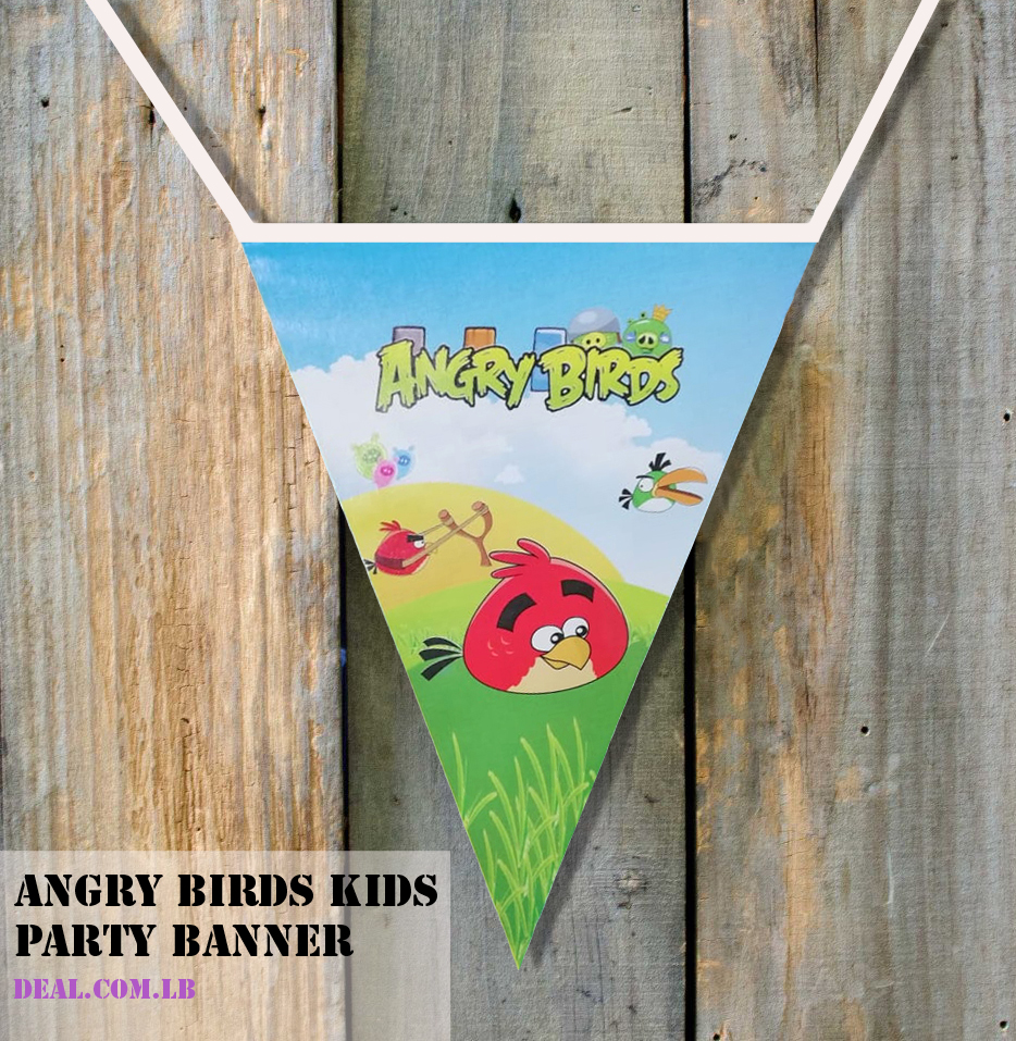 Angry Birds Kids Party Banner