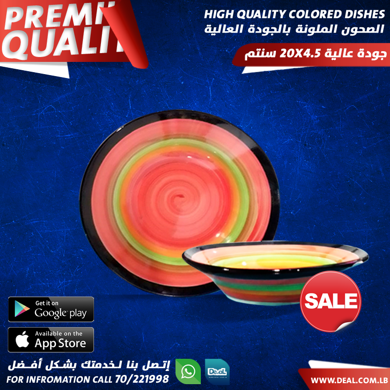 High+Quality+Rainbow+Dish+20%2A4.5cm