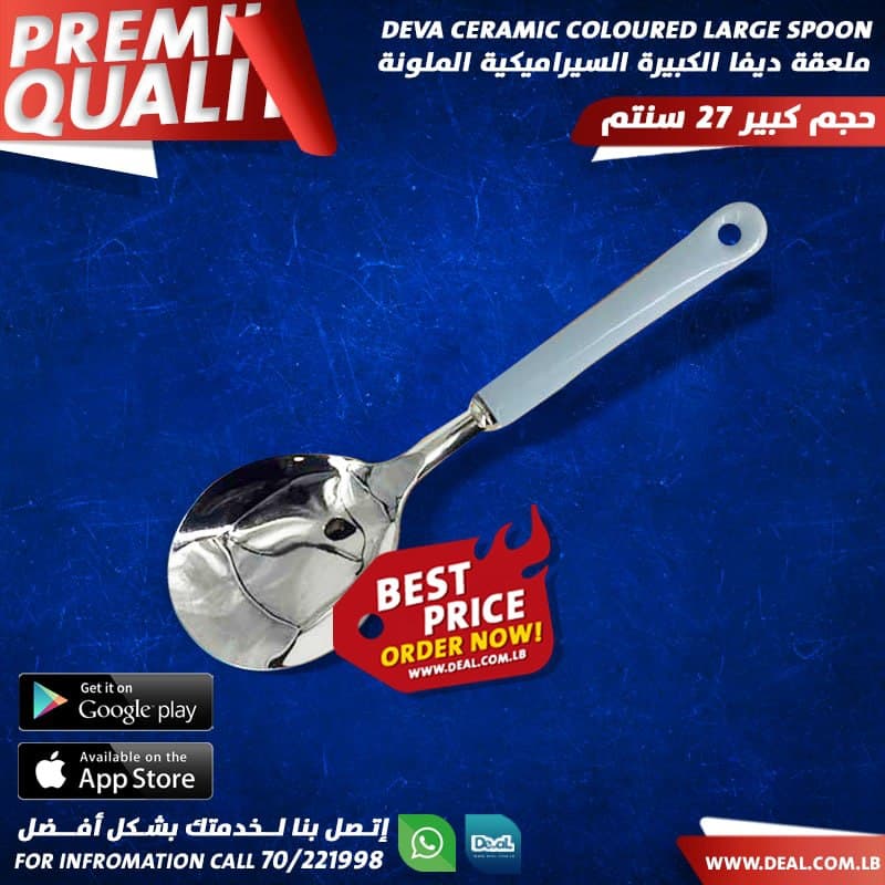Stainless Steel  big spoon with ceramic handle