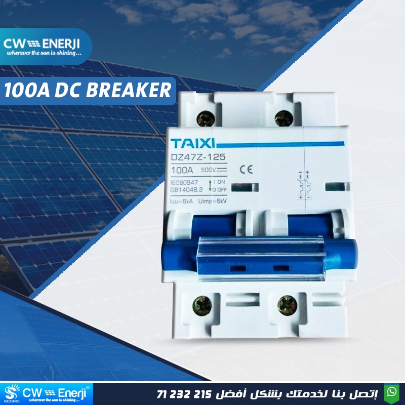 TAIXI 100A DC Circuit Breaker