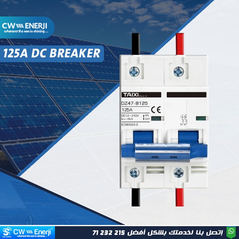 TAIXI 125A DC Circuit Breaker