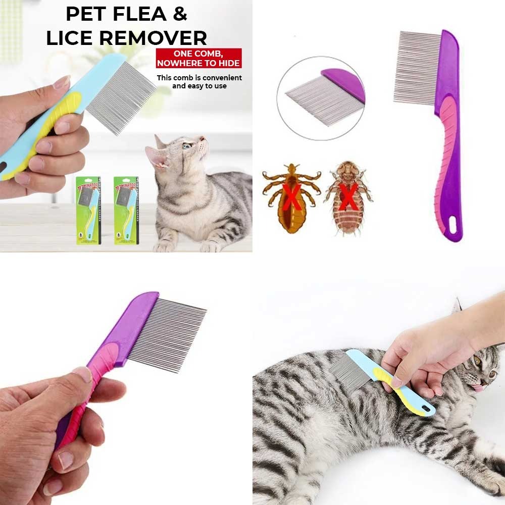 مشط إزالة القمل والبراغيث | Lice & Flea Terminator Comb