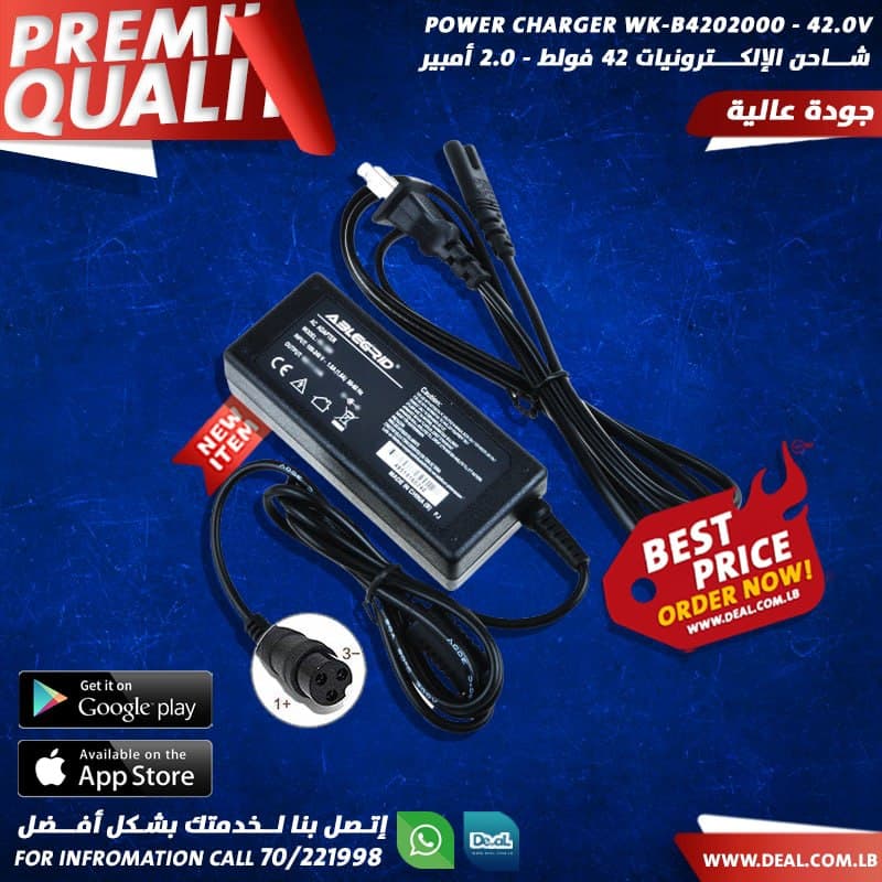 power charger 100 V