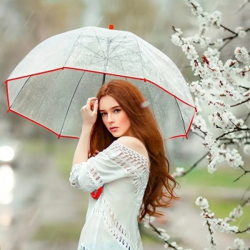 Transparent+Clear+Rain+Umbrella+Parasol