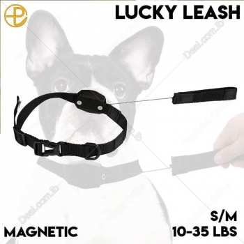 Lucky+Leash