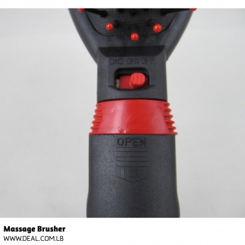 Hair+Massaging+Brush